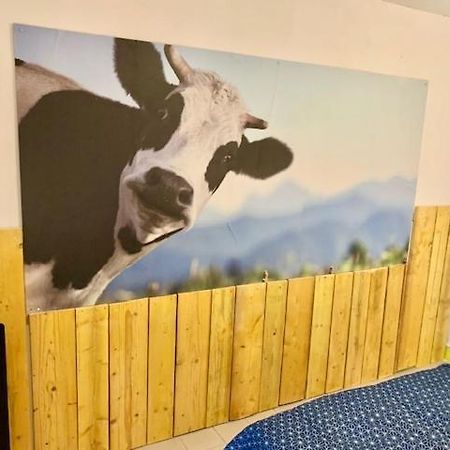 Le Depot Studio Du Petit Port Champvert Exteriér fotografie